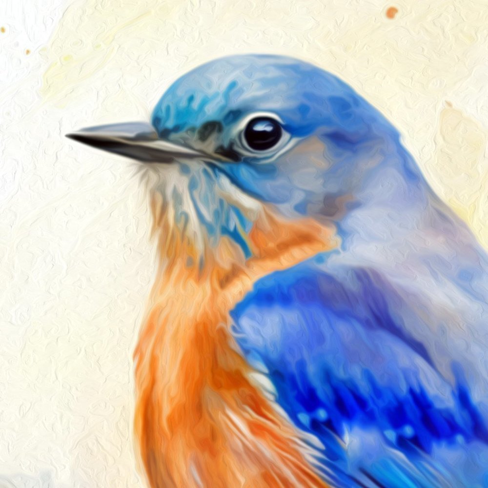 Eastern Bluebird Watercolor Oil Painting Wall Art Print - Picture 2 of 8